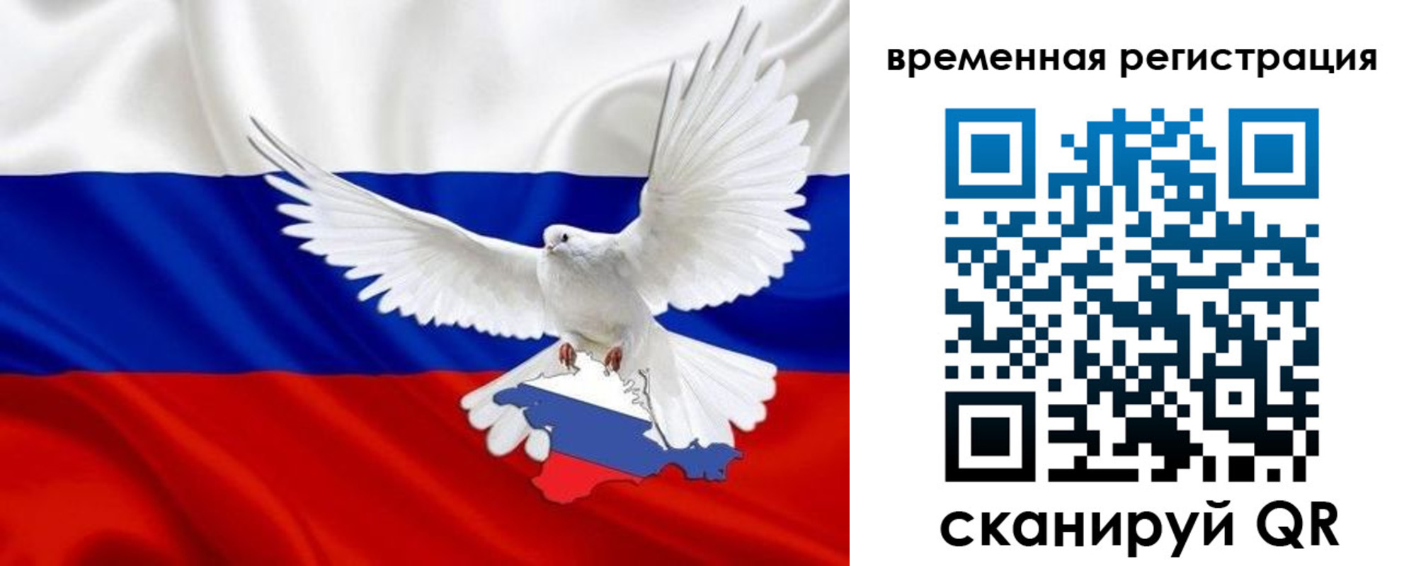 прописка законно в Елизово
